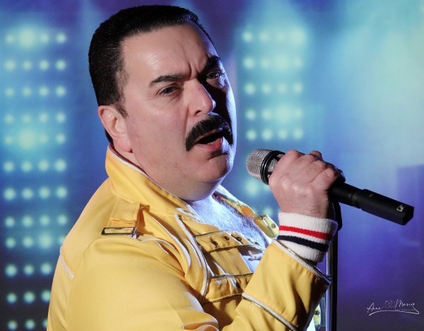 MARIO MEGARO – MULTI TRIBUTE ARTIST-FREDDIE MERCURY-BLUES BROS-1980'S-SOUL AND MOTOWN - Image 2