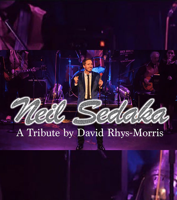 DAVID RHYS-MORRIS AS NEIL SEDAKA