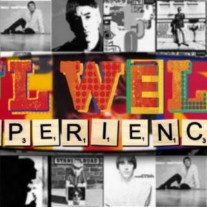 The Paul weller experience