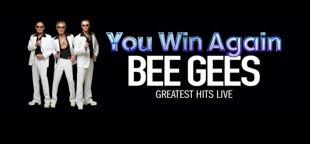 Bee Gees Gold - Image 4
