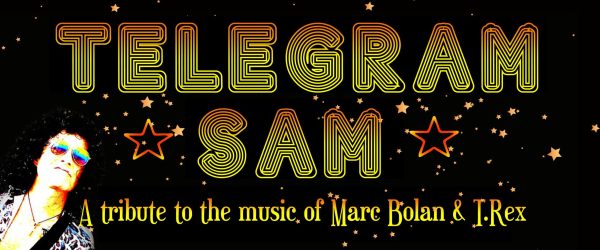 Telegram Sam - T-Rex tribute - Image 2