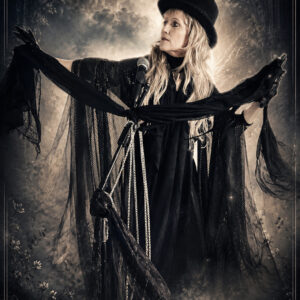Lorrie brown as Stevie Nicks